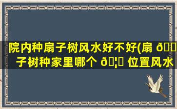 院内种扇子树风水好不好(扇 🌾 子树种家里哪个 🦈 位置风水好)